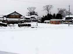 20051211amenomori (2).jpg